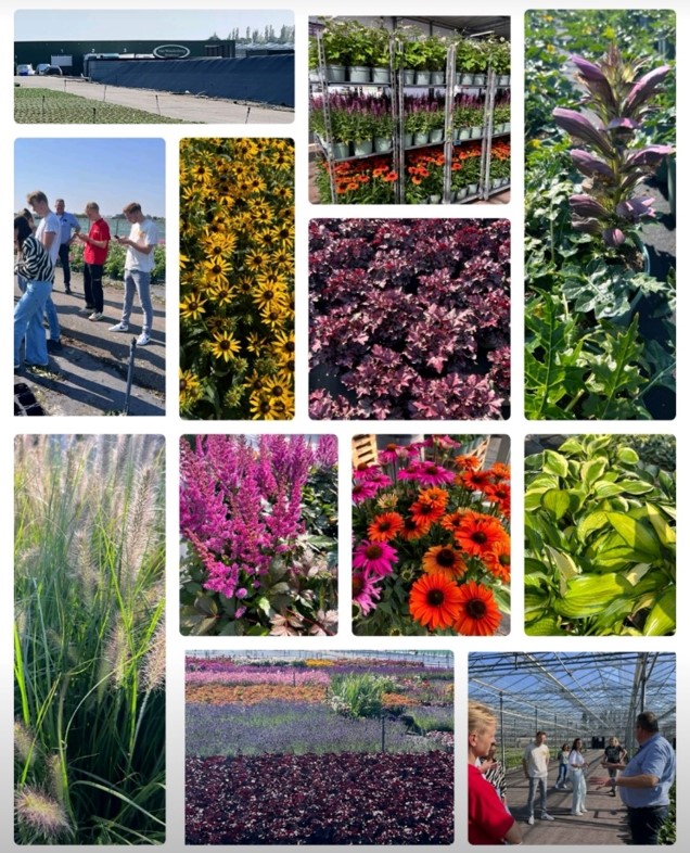 Rondleiding voor cursisten van de FlowerAcademy