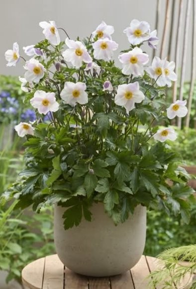 Samen klaar voor 2026