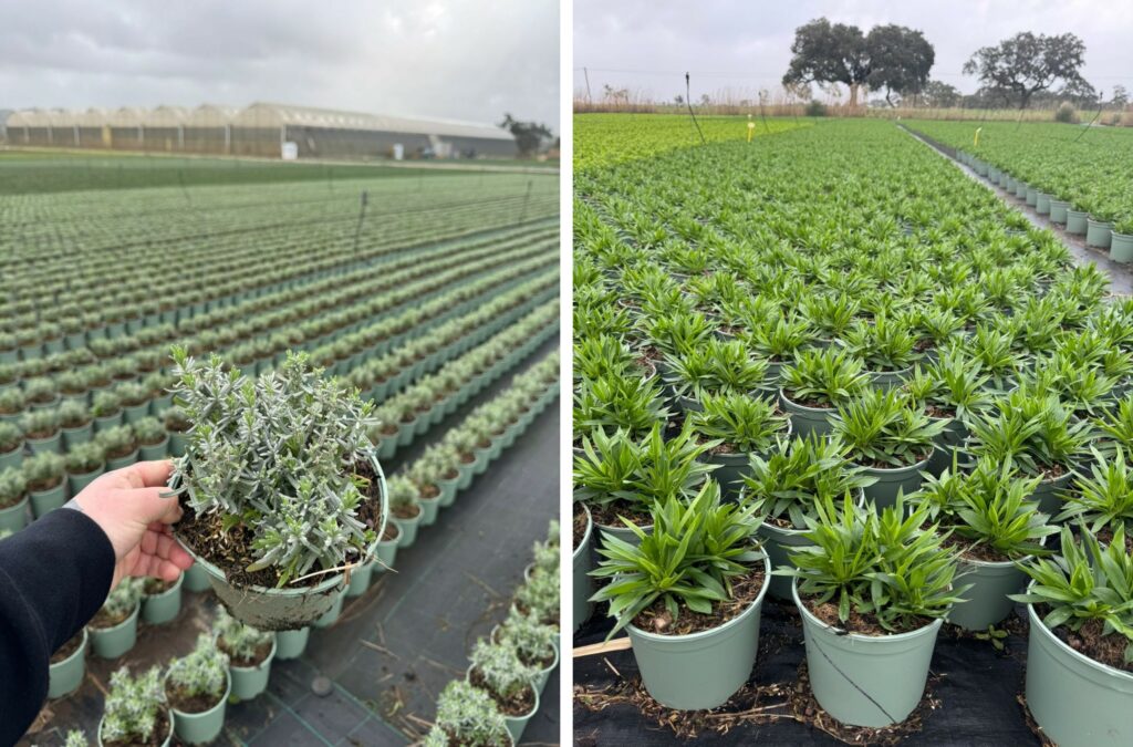 Kwaliteit in het veld