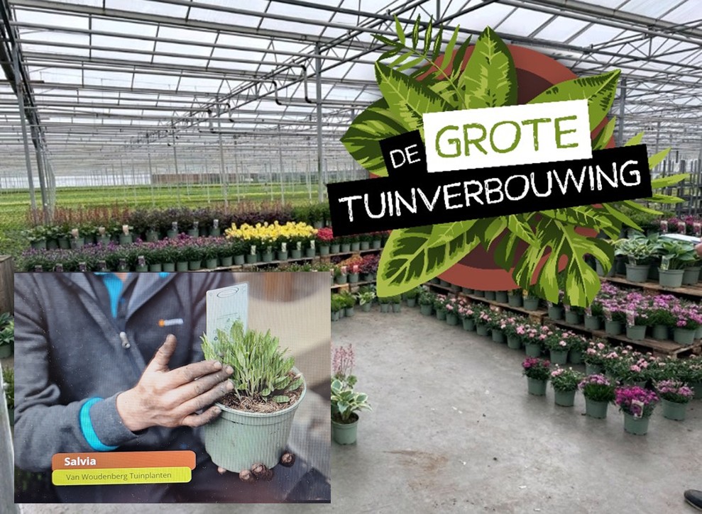 Van inspiratie in de kas naar inspiratie op tv