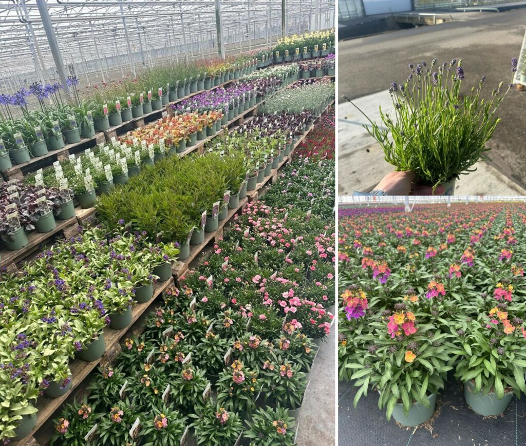Een greep uit ons assortiment