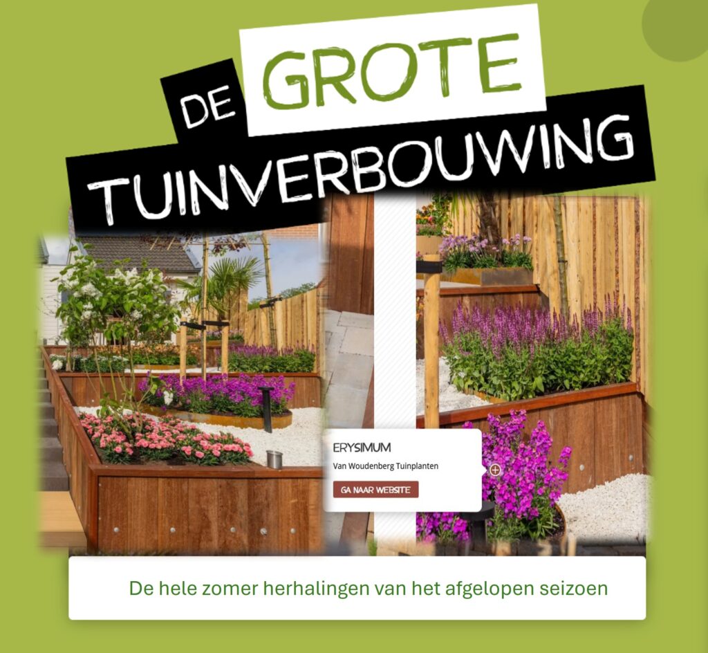 Zomer vol tuininspiratie​